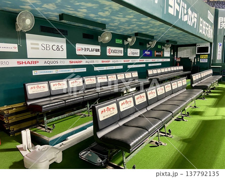 プロ野球ダッグアウトのベンチと球場風景 横構図 ｜スポーツ背景・ニュース・コピースペース・広告素材 137792135