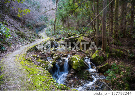 日本の広島県三次市の常清滝の美しい風景 日本の広島県三次市の常清滝の美しい風景 137792244
