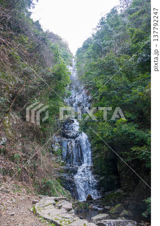 日本の広島県三次市の常清滝の美しい風景 137792247