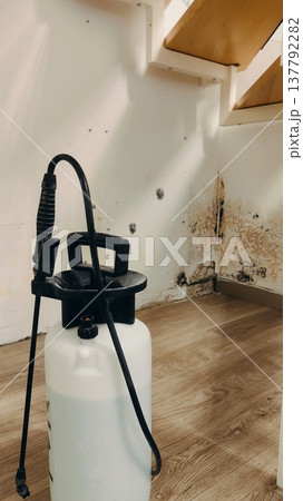 Dangerous mold on the wall under the stairs: tools for its removal 137792282