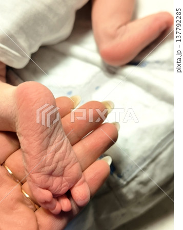 A newborn's heel on an adult's palm 137792285