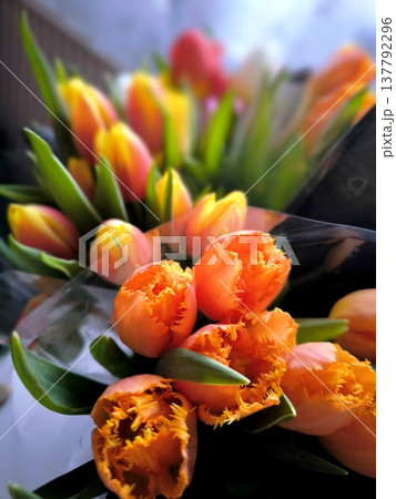 A close-up of a bouquet of bright orange fringed tulips A close-up of a bouquet of bright orange fringed tulips 137792296