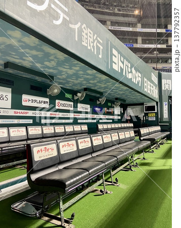 プロ野球ダッグアウトのベンチと球場風景 縦構図 ｜スポーツ背景・ニュース・コピースペース・広告素材 137792357
