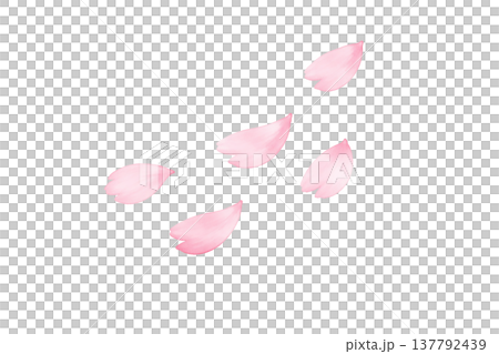 飄落的櫻花花瓣，櫻花暴雪，春季水彩插畫素材 137792439