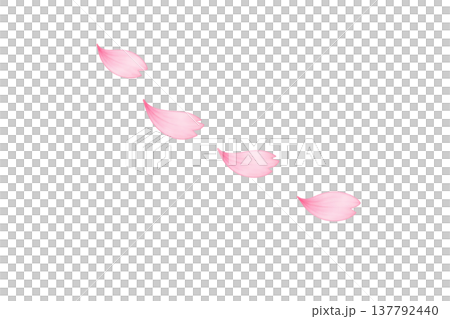 飄落的櫻花花瓣，櫻花暴雪，春季水彩插畫素材 137792440