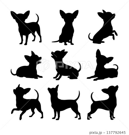 Nine silhouettes of Chihuahua dogs showing various poses and activities 137792645