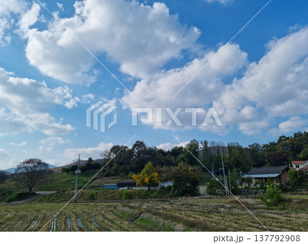 It is a rural landscape in autumn. 137792908