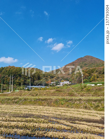 It is a rural landscape in autumn. It is a rural landscape in autumn. 137793004