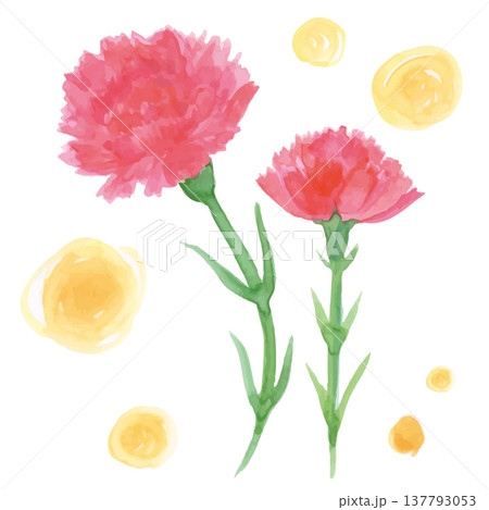 黄色の丸い飾りと水彩手描きの2輪の赤いカーネーション 黄色の丸い飾りと水彩手描きの2輪の赤いカーネーション 137793053