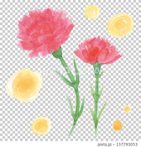 黄色の丸い飾りと水彩手描きの2輪の赤いカーネーション 黄色の丸い飾りと水彩手描きの2輪の赤いカーネーション 137793053