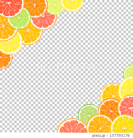 Sliced citrus frame_diagonal top and bottom_square Sliced citrus frame_diagonal top and bottom_square 137793176