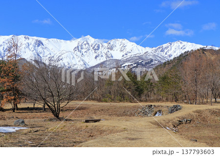 早春の白馬山麓 早春の白馬山麓 137793603
