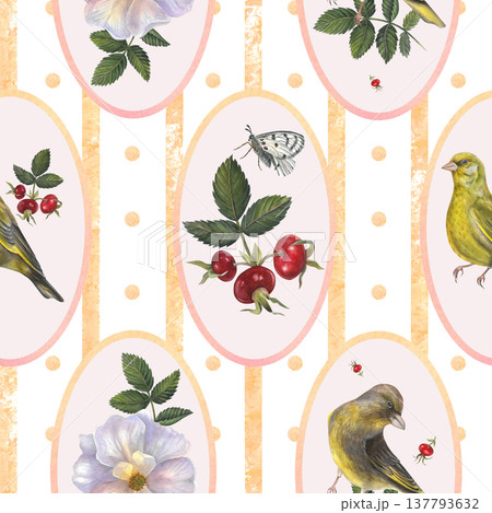 Vintage pattern of rose hips, leaves, branches of rose hips, white Apollo butterfly and greenfinch, vertical stripes and oval frames. Seamless pattern for textile design, tablecloth and wrapping paper 137793632