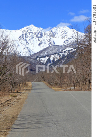 早春の白馬山麓 早春の白馬山麓 137793681