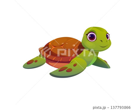 Pirate icon of cartoon sea turtle character or funny ocean animal, vector personage. Caribbean pirate adventure character of cute little turtle and underwater creature for undersea game asset element 137793866
