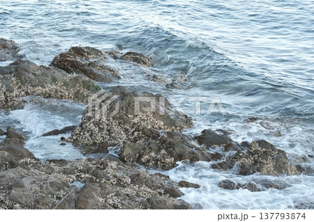 波　岩　海　瀬戸内　波間 137793874