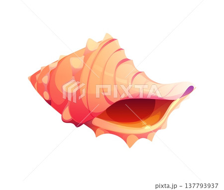 Sea bottom murex cartoon seashell or mussel. Coral reef isolated seashell, underwater mollusk cartoon shell. Ocean life aquatic mussel Sea bottom murex cartoon seashell or mussel. Coral reef isolated seashell, underwater mollusk cartoon shell. Ocean life aquatic mussel 137793937