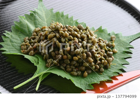 実山椒 実山椒 137794099