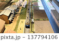 鉄道模型 137794106