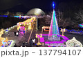 花回廊イルミネーション 137794107