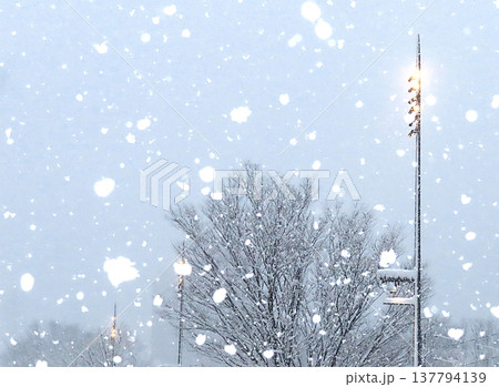 舞雪 137794139