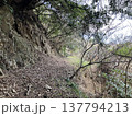 登山道から見える景色 137794213