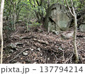 山の中の岩がある登山道 137794214