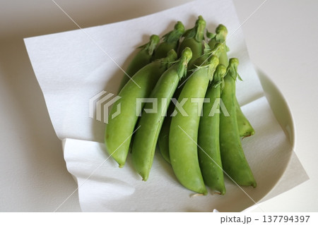 スナップエンドウ 春の便り 栄養 スナップエンドウ 春の便り 栄養 137794397