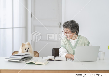 デスクワークをするシニア女性と愛犬 137794708