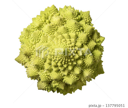 ブロッコリー　ロマネスコ。真上からのアングル 137795051