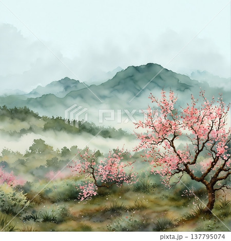 watercolor painting of chrysanthemum flowers watercolor painting of chrysanthemum flowers 137795074