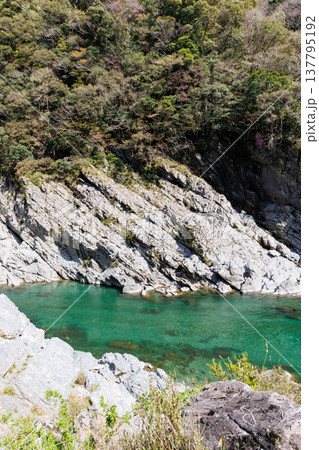 春の大歩危小歩危と吉野川 137795192