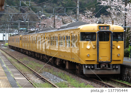 春の木野山駅に到着する伯備線115系6両編成 137795444