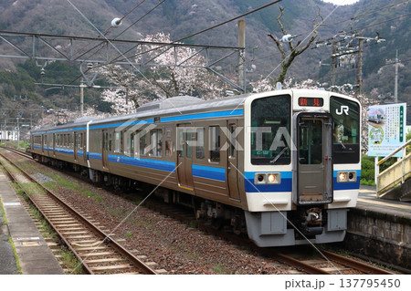 春の木野山駅に到着する伯備線213系電車 137795450