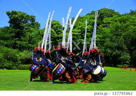 神楽の国のお祭りで、神楽をとる 神楽の国のお祭りで、神楽をとる 137795862