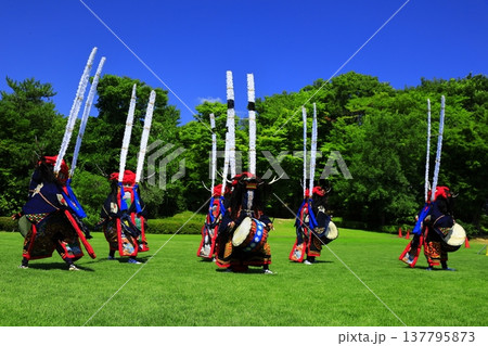 神楽の国のお祭りで、神楽をとる 神楽の国のお祭りで、神楽をとる 137795873