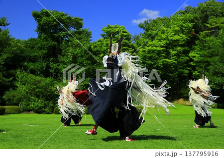 神楽の国のお祭りで、神楽をとる 神楽の国のお祭りで、神楽をとる 137795916