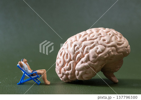 Miniature Man Relaxing on Chair Beside Human Brain Concept of Mental Health and Stress Relief Miniature Man Relaxing on Chair Beside Human Brain Concept of Mental Health and Stress Relief 137796380