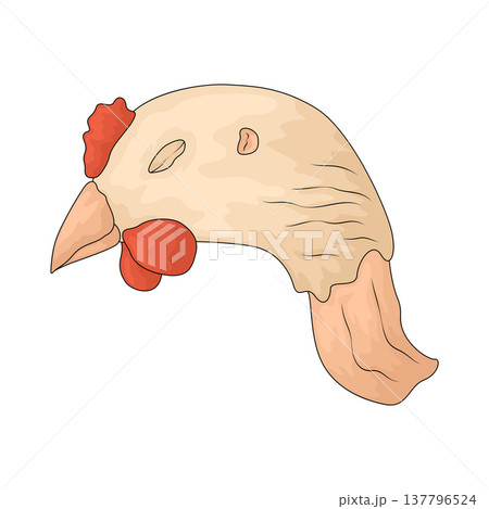 Illustration of Chicken head 137796524