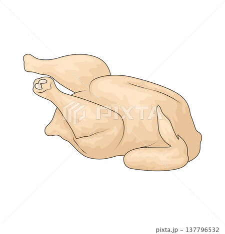 Illustration of Whole Chicken 137796532