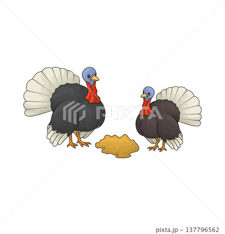 Illustration of turkey Illustration of turkey 137796562