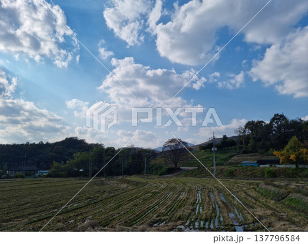 It is a rural landscape in autumn.	 137796584