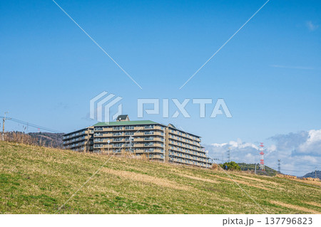 淀川右岸河川敷から見上げるマンション　大阪府 137796823