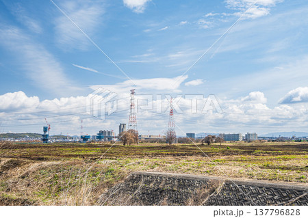 淀川右岸野焼き後の河川敷風景　大阪府高槻市 137796828