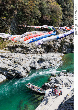 鯉のぼりと春の大歩危小歩危 137797062