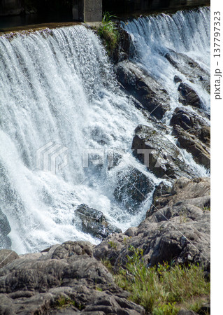 長篠堰堤の余水吐（愛知県新城市） 137797323