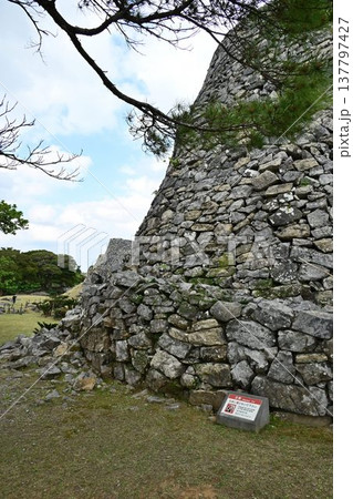 世界文化遺産　北山城　今帰仁城址 137797427