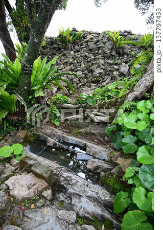 世界文化遺産　北山城　今帰仁城址 137797433