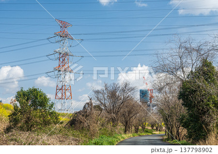 淀川右岸河川敷風景 大阪府高槻市 淀川右岸河川敷風景 大阪府高槻市 137798902