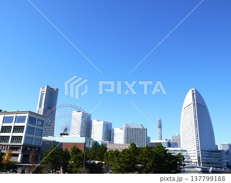 みなとみらいの都市風景 みなとみらいの都市風景 137799188